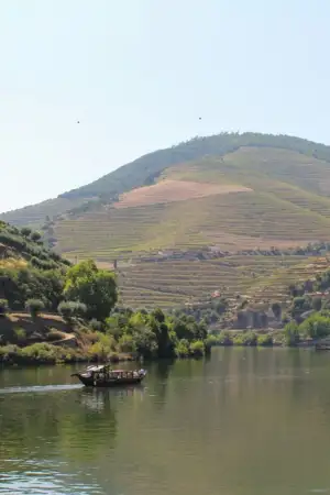 Imagem do Rio Douro e encostas